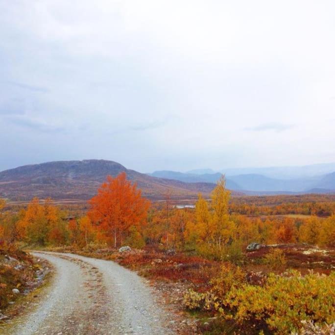 Fjellstova Storehorn Apartments Ulsak Екстериор снимка